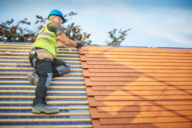 Best Roof Insulation Installation  in Omao, HI